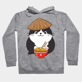 Funny fat cat is eating noodles Hoodie